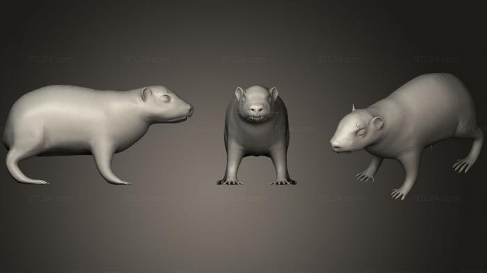 Animal figurines (Rock Hyrax, STKJ_1423) 3D models for cnc